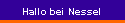 Hallo bei Nessel